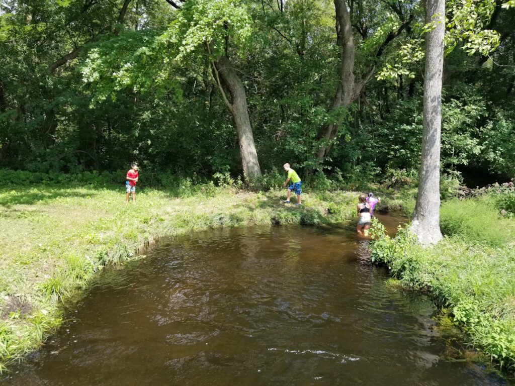 Stream