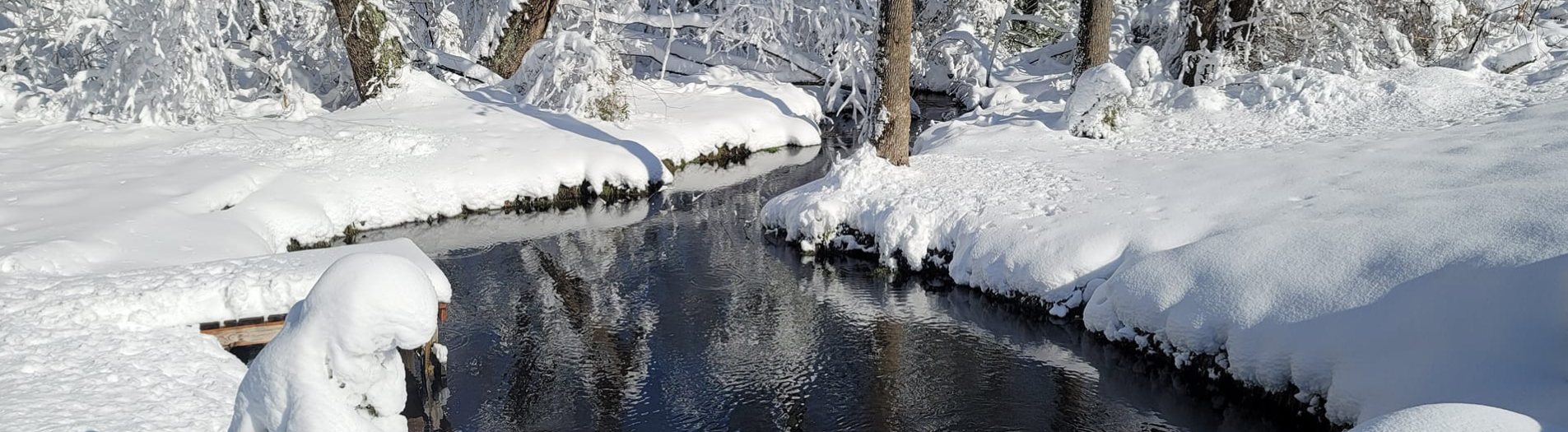 Stream