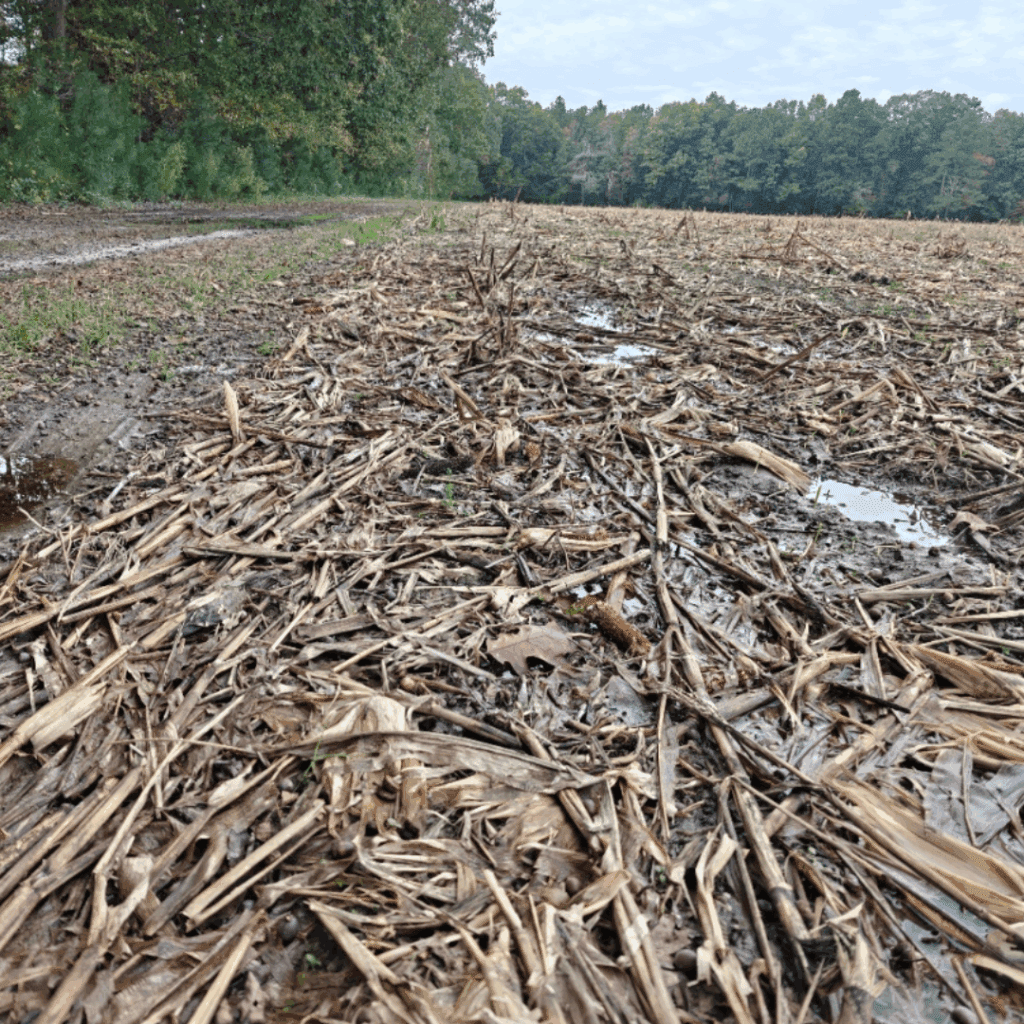 Soil Types for Web