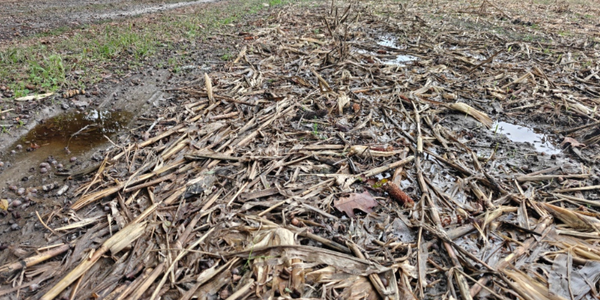 similar soils f2